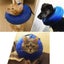 Inflatable Collar Pet Protective Carousel 3