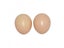 5 Pcs Hatching Egg Hen Poultry Hatch Breeding Simulation Fake Plastic Carousel 5