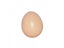 5 Pcs Hatching Egg Hen Poultry Hatch Breeding Simulation Fake Plastic Carousel 6