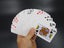 PTN Plain Playing Cards Deck Poker Table Game Carousel 3