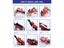 Price Label Tagging Gun Carousel 6
