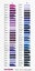 Madeira PolyNeon 40 Embroidery Thread 1000m *choose your own colour!* Carousel 5