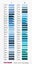 Madeira PolyNeon 40 Embroidery Thread 1000m *choose your own colour!* Carousel 6