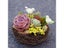 1PC New Fashion Handmade Vine Brown Bird Nest House Holiday Home Decoration Carousel 5