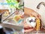 PTN NEW A4 Printing Paper Sale - Sale Carousel 7