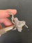 Vintage Valet Razor made in Canada Carousel 12