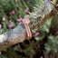 Rose-gold Premium Crystal Wedding Ring Set "Harmony" Carousel 3