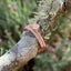 Rose-gold Premium Crystal Wedding Ring Set "Harmony" Carousel 6