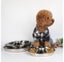 Dog Bowls New Carousel 7