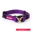ezydog Dog Collar Double Up Purple XL 47-71cm Carousel 1