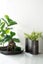 Alu Timber Wavy Rect Vase,Large Carousel 3