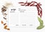 Inkdotpot Recipe Card 6x4 inch Single-Sided Recipe Design Cards White Classic Carousel 4