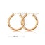 18k Gold Silver Plated Huggie Hoop Sleeper Earrings Carousel 4