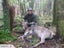 WILDERNESS FISHING AND REMOTE CABIN STAYS , Carousel 9