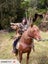 WILDERNESS FISHING AND REMOTE CABIN STAYS , Carousel 10