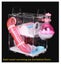 Mouse Cage VIP Series 3 Level with Tray TTL1 Carousel 3