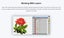 Easy Cut Studio-Cutting & Design program- Support hundreds of vinyl cutters Carousel 10