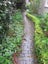 WATERBLASTING SERVICES & Gutter cleaning Carousel 10