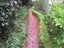 WATERBLASTING SERVICES & Gutter cleaning Carousel 11