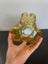 Vintage hand blown amber glass vase Carousel 6