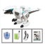 Dinosaur, RC Dinosaur, Remote control Dinosaur, Big Size Carousel 8