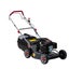Lawn Mower 19in 5.5hp Self-Propelled Carousel 1
