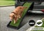 Dog Ramp Sale NZ Stock Deal Carousel 1
