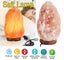 Large Salt Lamp NZ Clearance Carousel 11