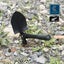 Garden Hand tools Shovel Garden Spade Steel Tool *Local STOCK NOW* Carousel 3