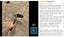 Garden Hand tools Shovel Garden Spade Steel Tool *Local STOCK NOW* Carousel 2