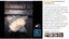Brand New Vacuum Sealer Machine Automatic Air Sealing System *Clearance* Carousel 4