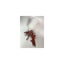 Loading Image 1 of 1