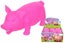 Squidgy Snorting Pig Carousel 1