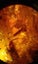 Kauri Gum 10 Insect Inclusions Time Capsule. Carousel 6