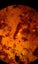 Kauri Gum 10 Insect Inclusions Time Capsule. Carousel 7