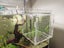 Acrylic fish Tank Breeding Isolation Box For Hatchery Incubator 15*15*15cm Carousel 1