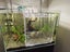 Acrylic fish Tank Breeding Isolation Box For Hatchery Incubator 20*20*20cm Carousel 2
