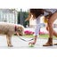 225PK Bonnie Bio Compostable 2L Dog Poop Poo Waste Clean Up Bags Green Eco Carousel 5