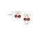 S925 Sweet Cherry Earrings Red Summer Fruit Studs Birthday Gift Women Jewelry Carousel 4