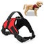 Durazon Nylon Reflective Harness with Lead - XL - Black Carousel 7