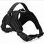 Durazon Nylon Reflective Harness with Lead - XL - Black Carousel 2