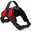 Durazon Nylon Reflective Harness with Lead - XL - Black Carousel 8