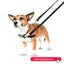 Halti Harness Dog Training Harness-Small 30-60cm Carousel 2