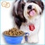 Bowl Dish For Pet Cat Food Water Feeder @ large Capacity 1000ml Carousel 3