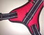 Durazon Nylon Reflective Harness with Lead - XL - Black Carousel 14
