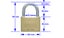 ABUS 65/60 Brass 50mm Padlock with 34 x 9.5mm Shackle Carousel 1