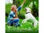 PTN NEW Dog Training Collar Sale - Sale Carousel 7