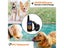 PTN NEW Dog Training Collar Sale - Sale Carousel 13