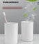 Toothbrush Holder with Double Toothpaste Squeezer Carousel 3