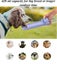 420ML Dog Drinking Bottle water feeder dispenser pet cup bowl outdoor portable Carousel 6